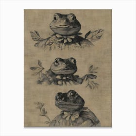 Frogs 1 Canvas Print