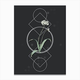 Vintage Spring Garlic Botanical with Geometric Line Motif and Dot Pattern n.0081 Canvas Print