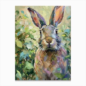 Beveren Rabbit Painting 4 Canvas Print