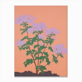 Statice Flower Big Bold Illustration 1 Canvas Print