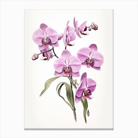 Orchids Flower Vintage Botanical 3 Canvas Print