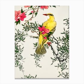 Chinese Bird Canvas Print