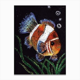 Clownfish drawn by Paoling Rees  Canvas Print