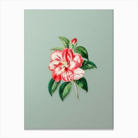 Vintage Japanese Camelia Botanical Art on Mint Green n.0184 Canvas Print