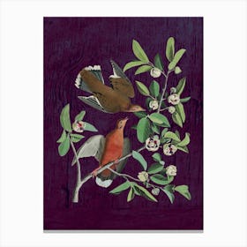 Doves On A Branch Canvas Print