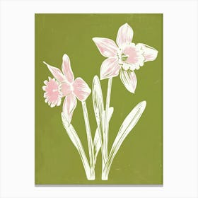 Pink & Green Daffodil 2 Canvas Print