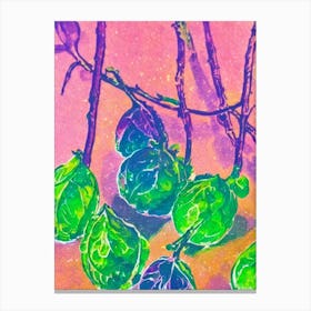 Brussels Sprouts 2 Risograph Retro Poster vegetable Canvas Print