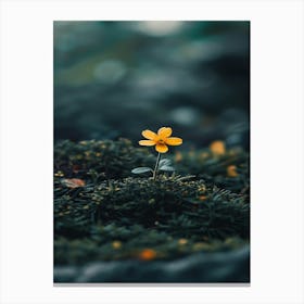 Yellow Flower In Moss Canvas Print