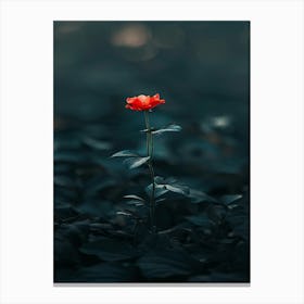 Single Red Rose 21 Canvas Print