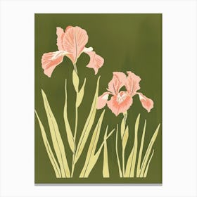 Pink & Green Iris 1 Canvas Print
