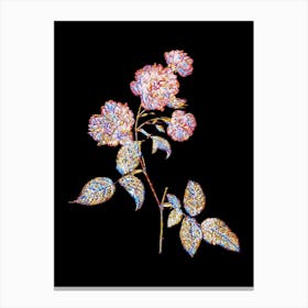 Stained Glass Red Cabbage Rose in Bloom Mosaic Botanical Illustration on Black n.0213 Canvas Print