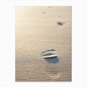 The Footprint In The Sand At The Beach Canvas Print