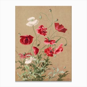 Poppies, Prang & Co Canvas Print