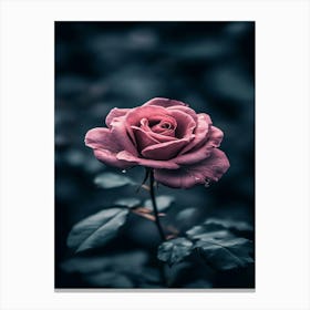 Rose In The Dark 22 Canvas Print