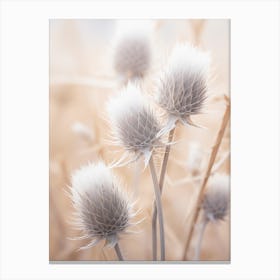 Thistle 3 Canvas Print