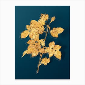 Vintage Pink Bourbon Roses Botanical in Gold on Teal Blue n.0359 Canvas Print