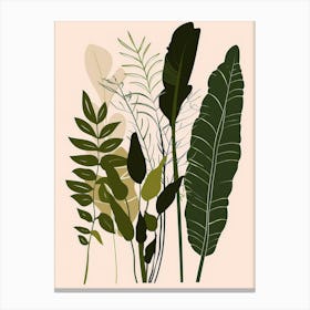 Tropical Plants 6 Canvas Print