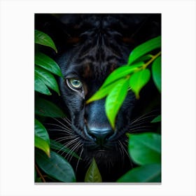 Black Panther 3 Canvas Print