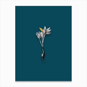 Vintage Autumn Crocus Black and White Gold Leaf Floral Art on Teal Blue n.0067 Canvas Print