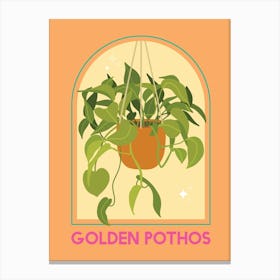 Golden Pothos Canvas Print