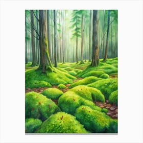 5 Vivid Green Moss Carpeting Forest Floors Canvas Print