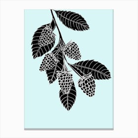 Black Raspberries On A Branch Canvas Print