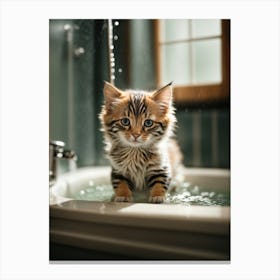 Kitten In The Bath Canvas Print