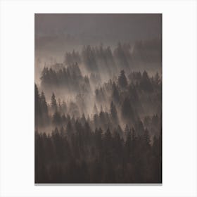 Nature Forest Scenery Canvas Print