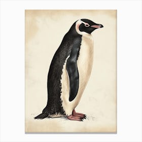 Adlie Penguin Floreana Island Vintage Botanical Painting 1 Canvas Print