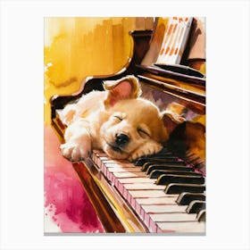 Dog Sleeping On Piano Canvas Print