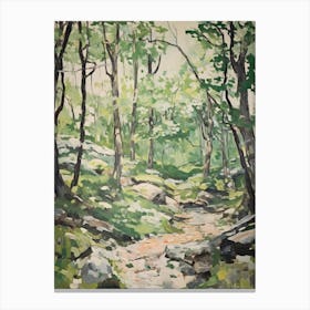 Grenn Trees In The Woods 15 Canvas Print