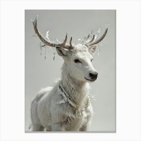 Reindeer Canvas Print