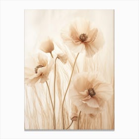 Boho Dried Flowers Poppy 4 Canvas Print