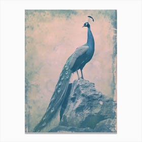Vintage Turquoise Peacock On A Rock Photography Style 2 Canvas Print