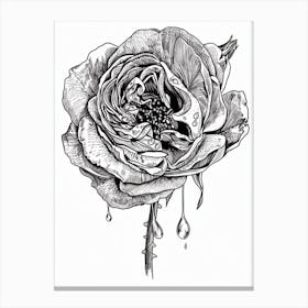 Black And White Rose Line Drawing 1 Canvas Print