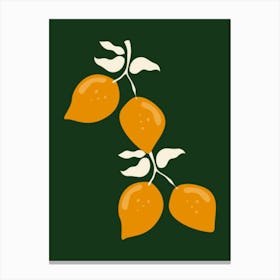 Three Oranges On A Branch Canvas Print