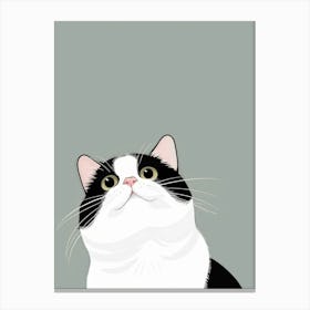 Black And White Cat 10 Canvas Print