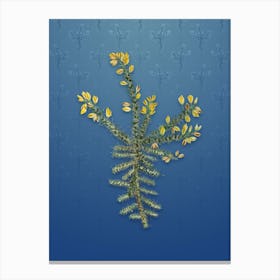 Vintage Yellow Gorse Flower Botanical on Bahama Blue Pattern n.0933 Canvas Print