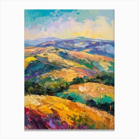California Landscape 1 Canvas Print