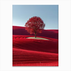 Tree In A Red Field 1 Canvas Print