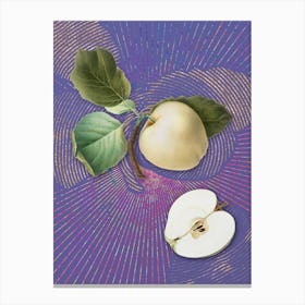 Vintage Astracan Apple Botanical Illustration on Veri Peri n.0946 Canvas Print