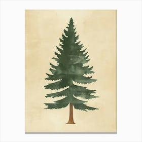 Sequoia Tree Minimal Japandi Illustration 2 Canvas Print