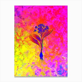 Pygmy Hyacinth Botanical in Acid Neon Pink Green and Blue n.0315 Canvas Print