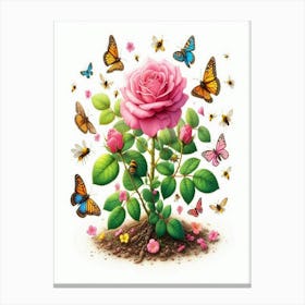 Rose With Butterflies Canvas Print