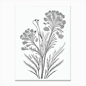 Caraway Herb William Morris Inspired Line Drawing 2 Canvas Print