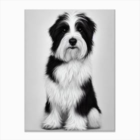 Coton De Tulear B&W Pencil dog Canvas Print