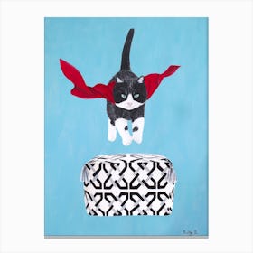 Flying Black White Cat Over Pouf Canvas Print