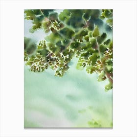 Acropora Vaughani Iiii Storybook Watercolour Canvas Print