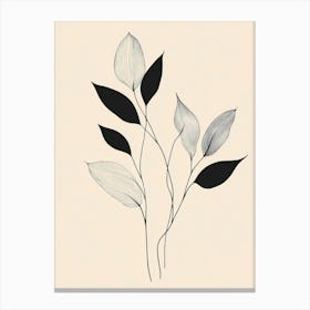 Black And White Leaves 3 Canvas Print