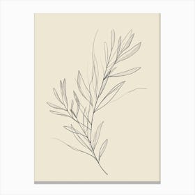 Leaf Drawing Canvas Print